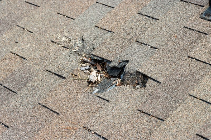 Damaged Roof Replacement in Old Hickory, TN