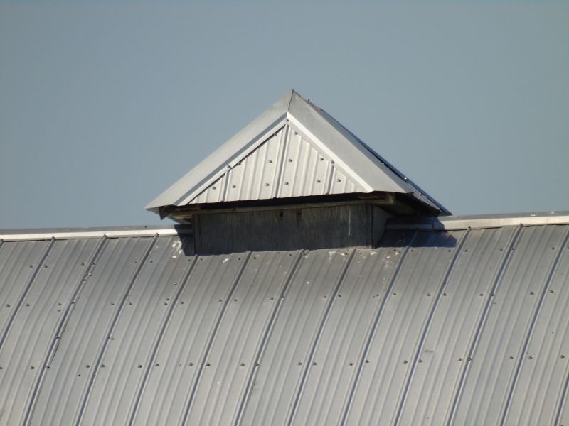 Tin Roof Installation in Trousdale County, TN